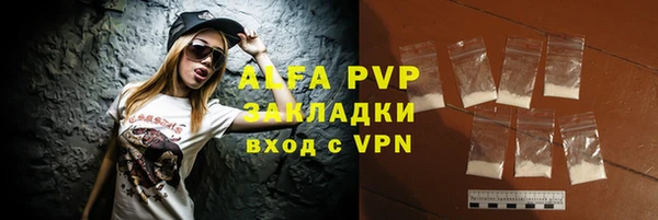 прущие грибы Чекалин