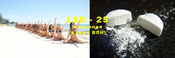 молекула духа Козельск