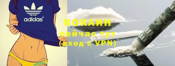 молекула духа Козельск