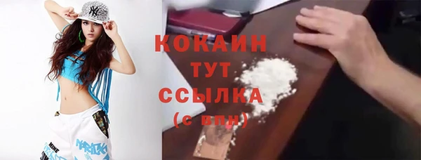 молекула духа Козельск