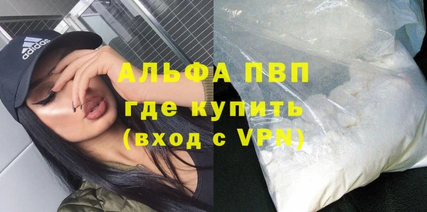 молекула духа Козельск