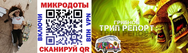 Псилоцибиновые грибы Psilocybe  Купить  Новоаннинский 
